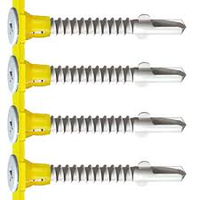 Collated Win Tipped Self Drilling Screws